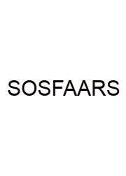 Statements On Standards For Accounting And Review Services