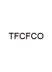 The Fasb Conceptual Framework Consists Of
