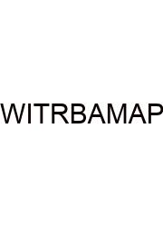 What Is The Relationship Between A Monomer And Polymer