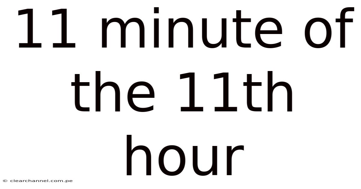 11 Minute Of The 11th Hour