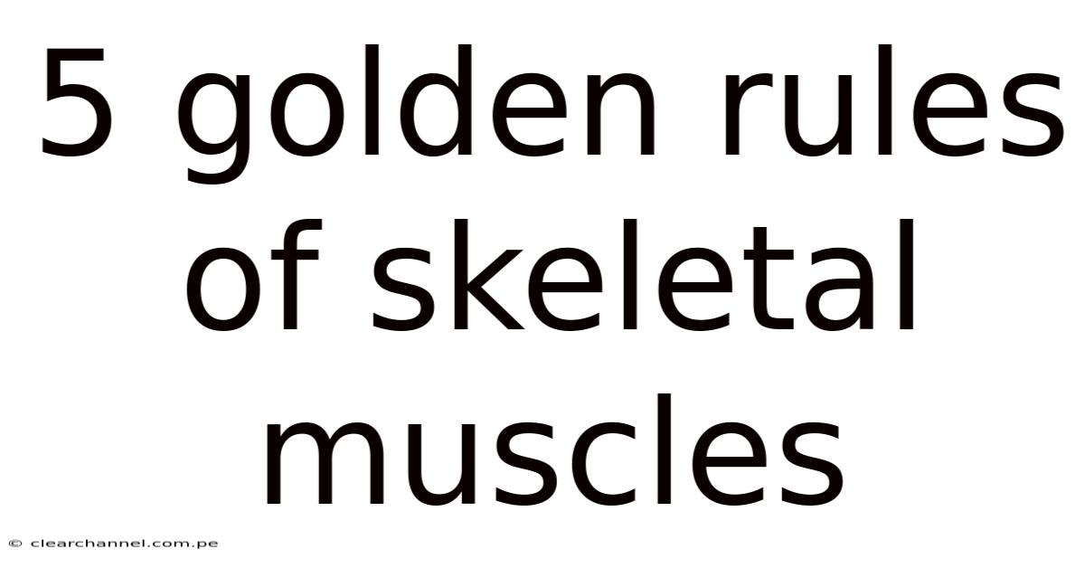 5 Golden Rules Of Skeletal Muscles