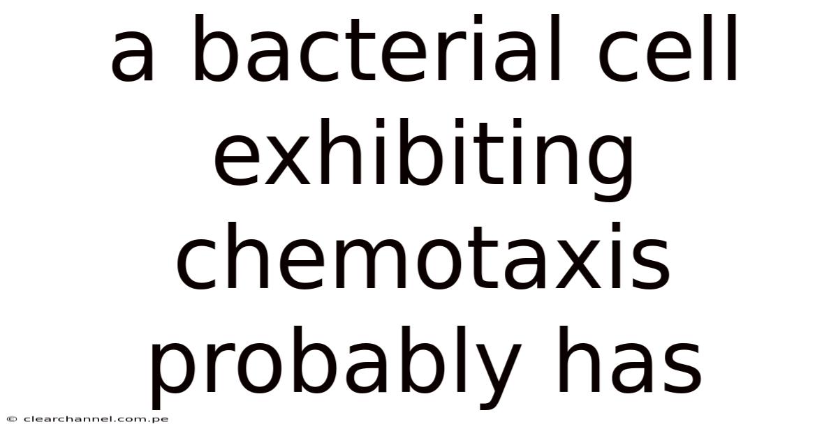 A Bacterial Cell Exhibiting Chemotaxis Probably Has