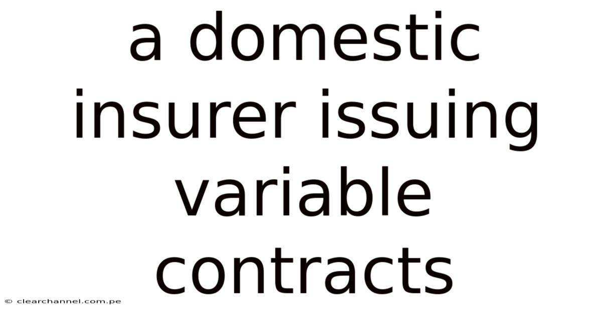 A Domestic Insurer Issuing Variable Contracts