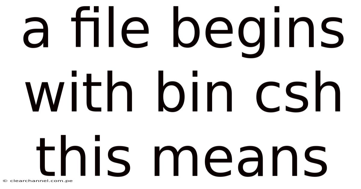 A File Begins With Bin Csh This Means