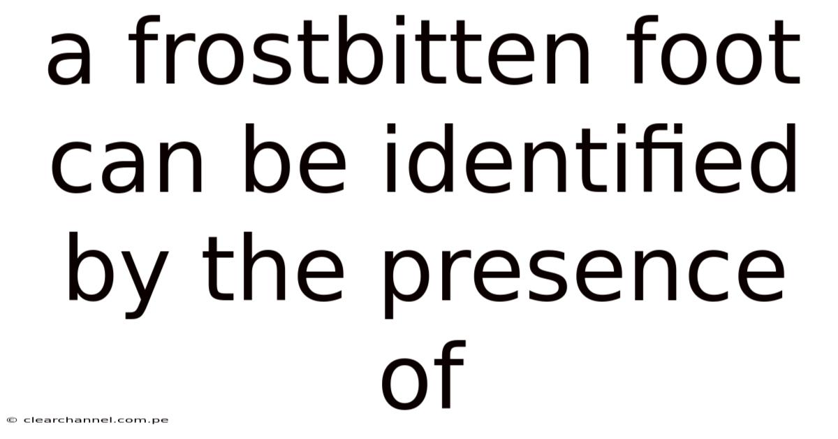 A Frostbitten Foot Can Be Identified By The Presence Of