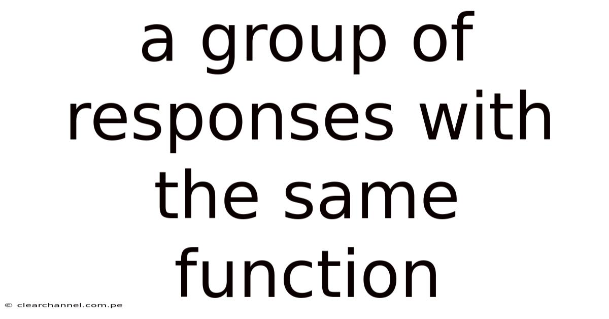 A Group Of Responses With The Same Function