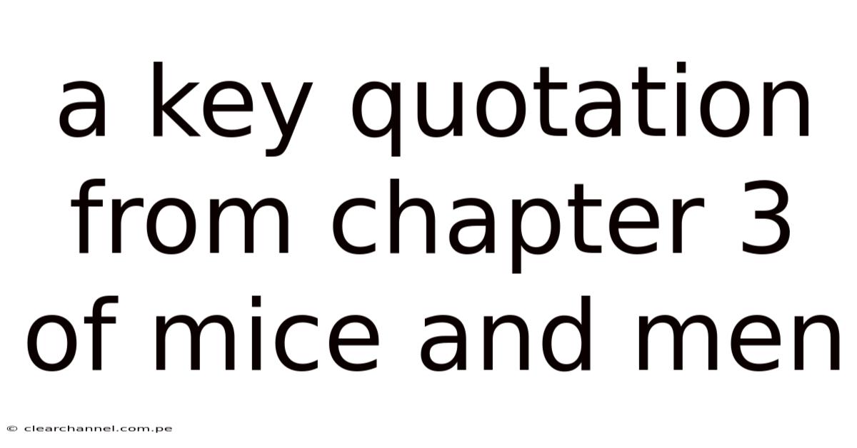 A Key Quotation From Chapter 3 Of Mice And Men