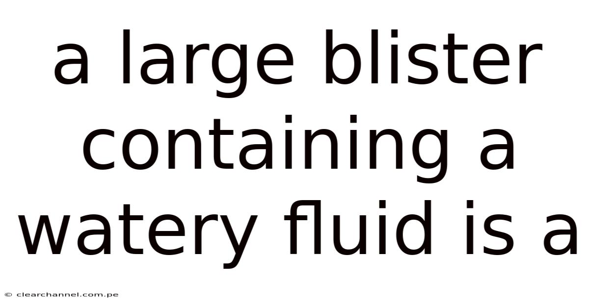 A Large Blister Containing A Watery Fluid Is A