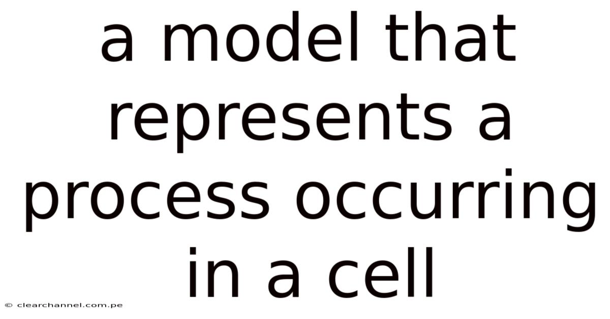 A Model That Represents A Process Occurring In A Cell