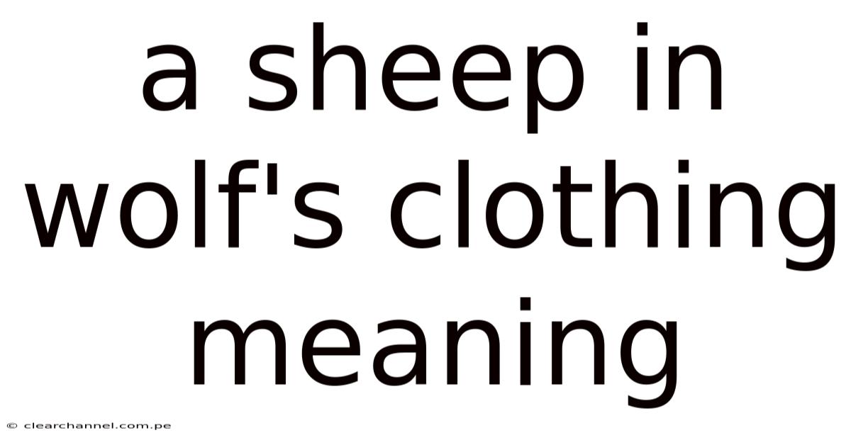 A Sheep In Wolf's Clothing Meaning