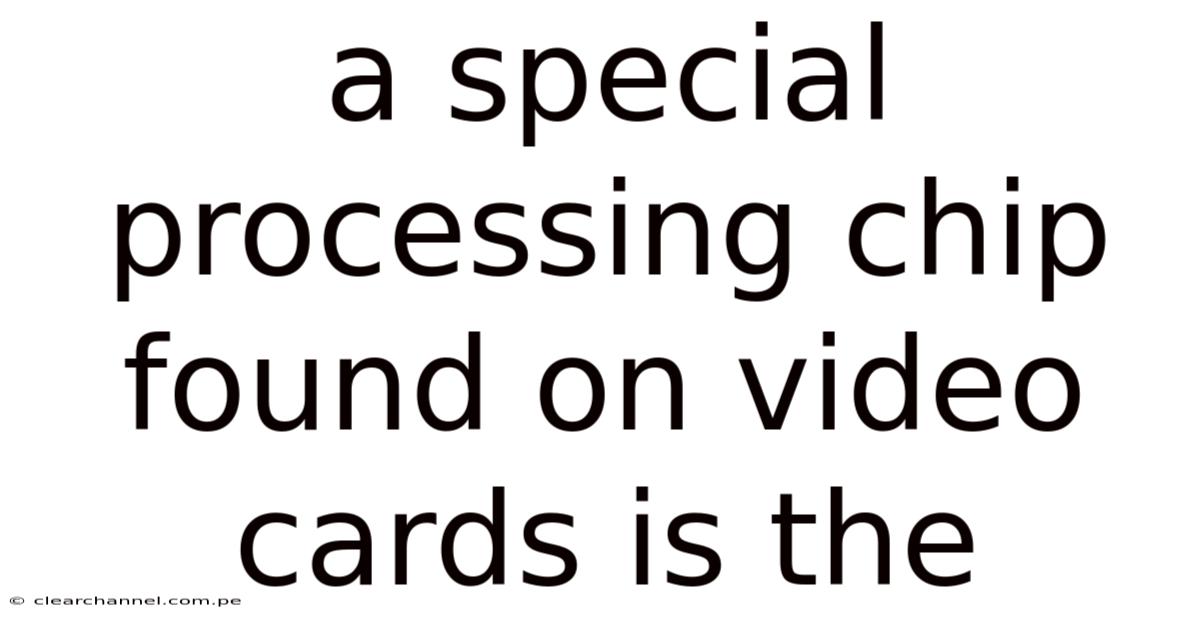 A Special Processing Chip Found On Video Cards Is The