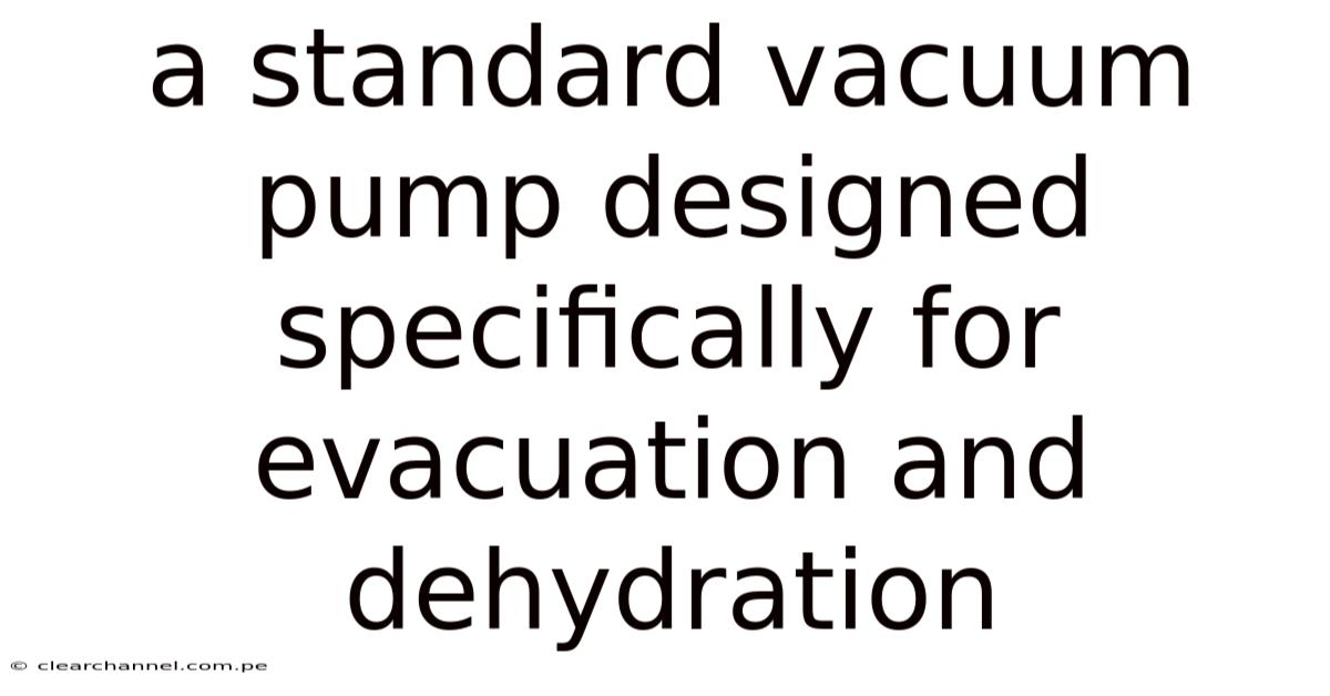 A Standard Vacuum Pump Designed Specifically For Evacuation And Dehydration