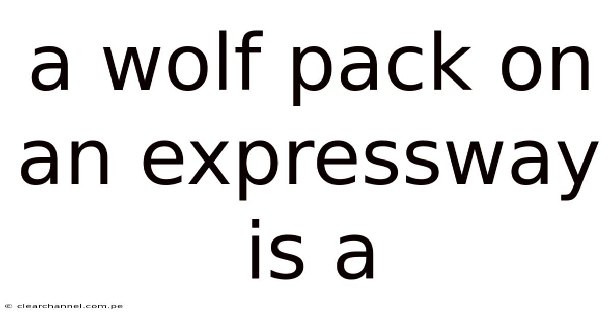 A Wolf Pack On An Expressway Is A