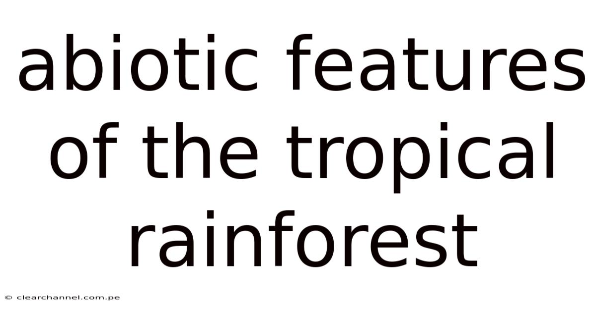 Abiotic Features Of The Tropical Rainforest