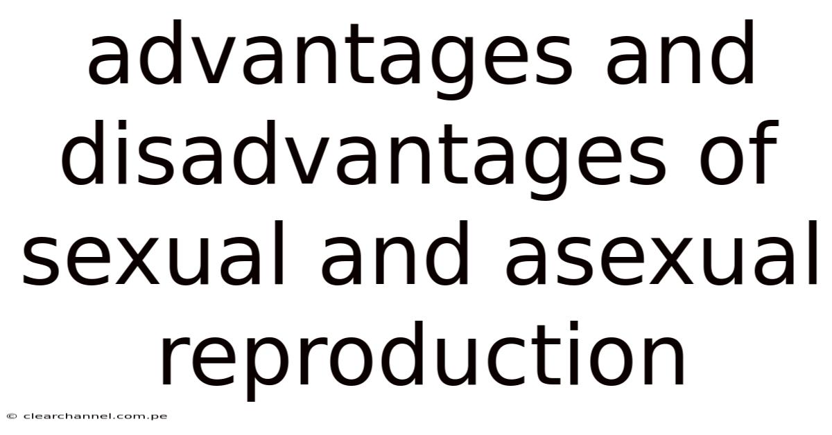 Advantages And Disadvantages Of Sexual And Asexual Reproduction
