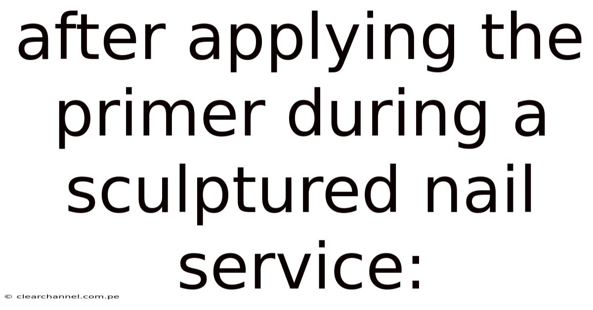 After Applying The Primer During A Sculptured Nail Service: