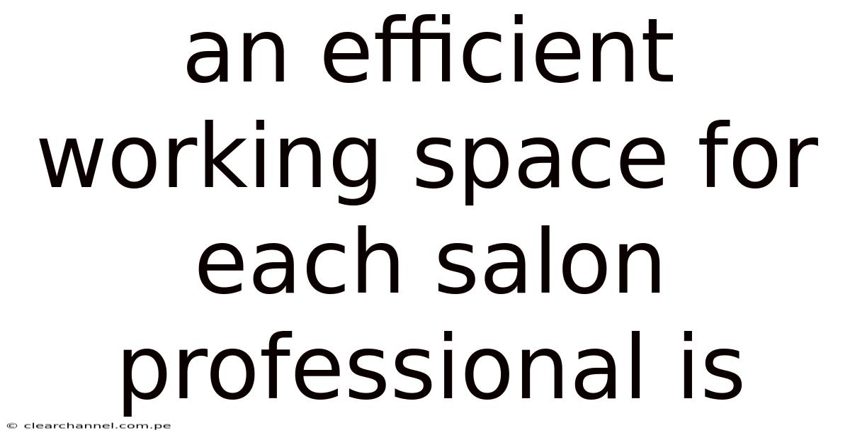 An Efficient Working Space For Each Salon Professional Is