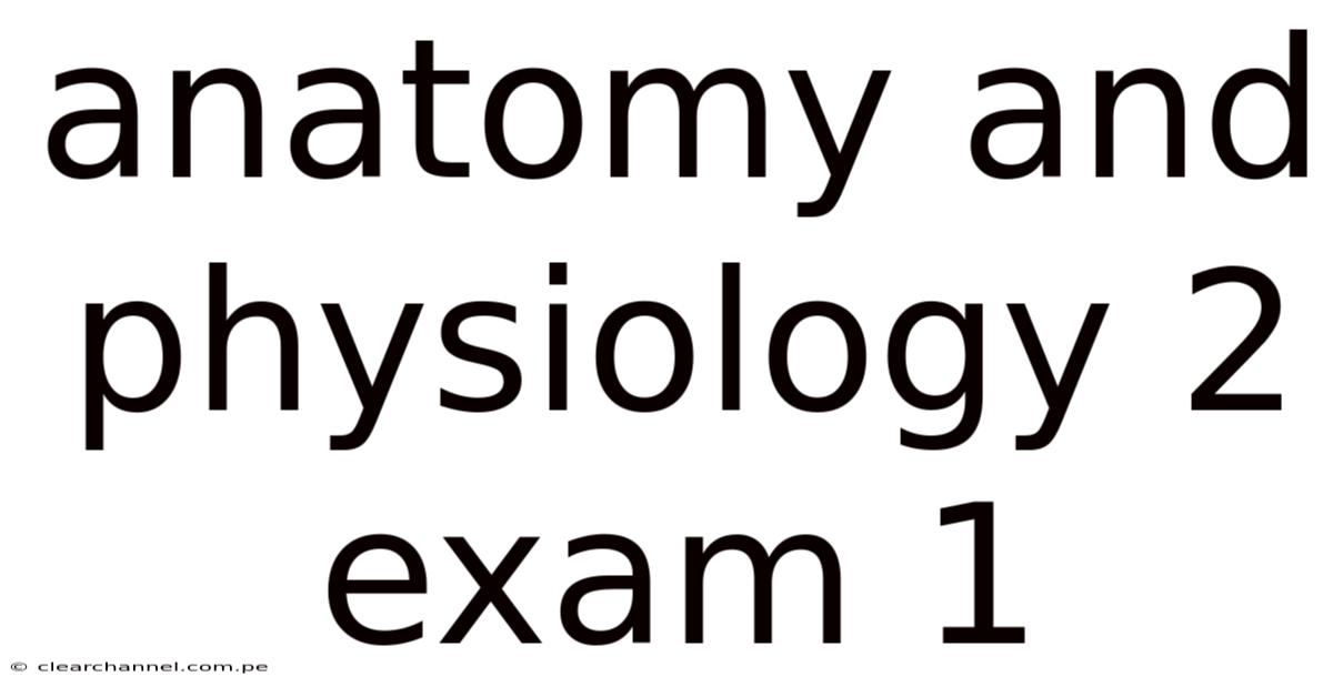 Anatomy And Physiology 2 Exam 1