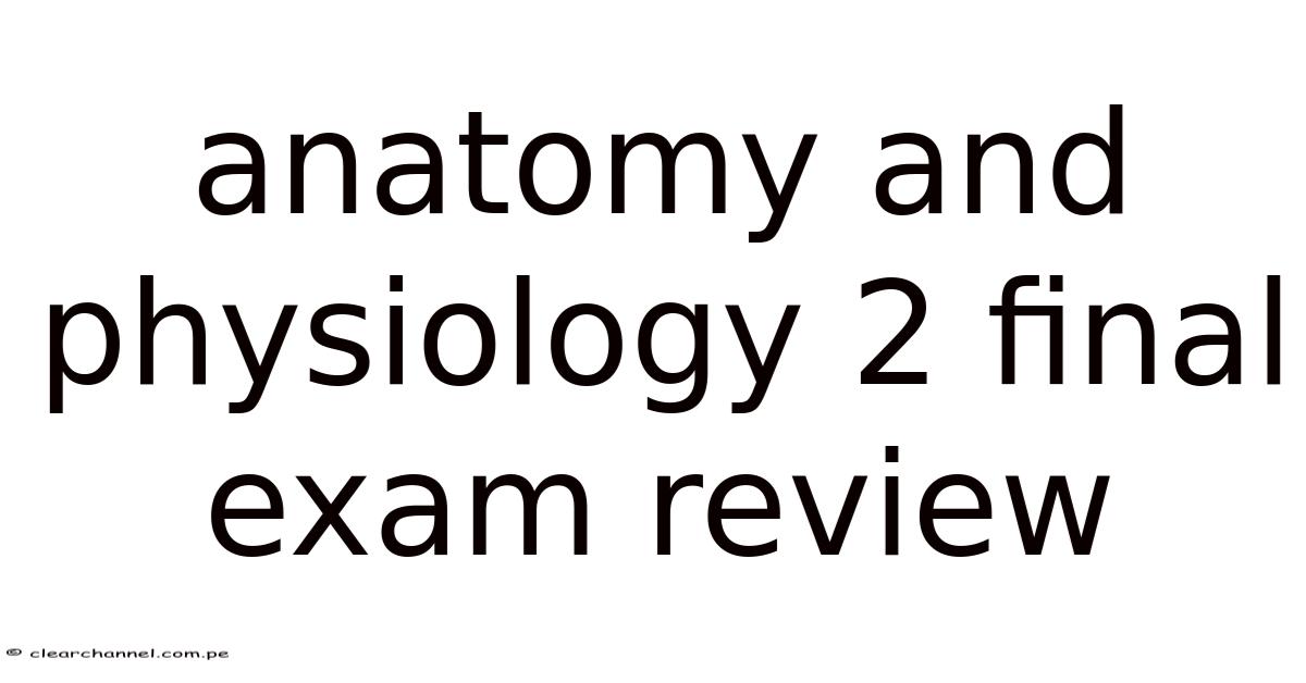 Anatomy And Physiology 2 Final Exam Review