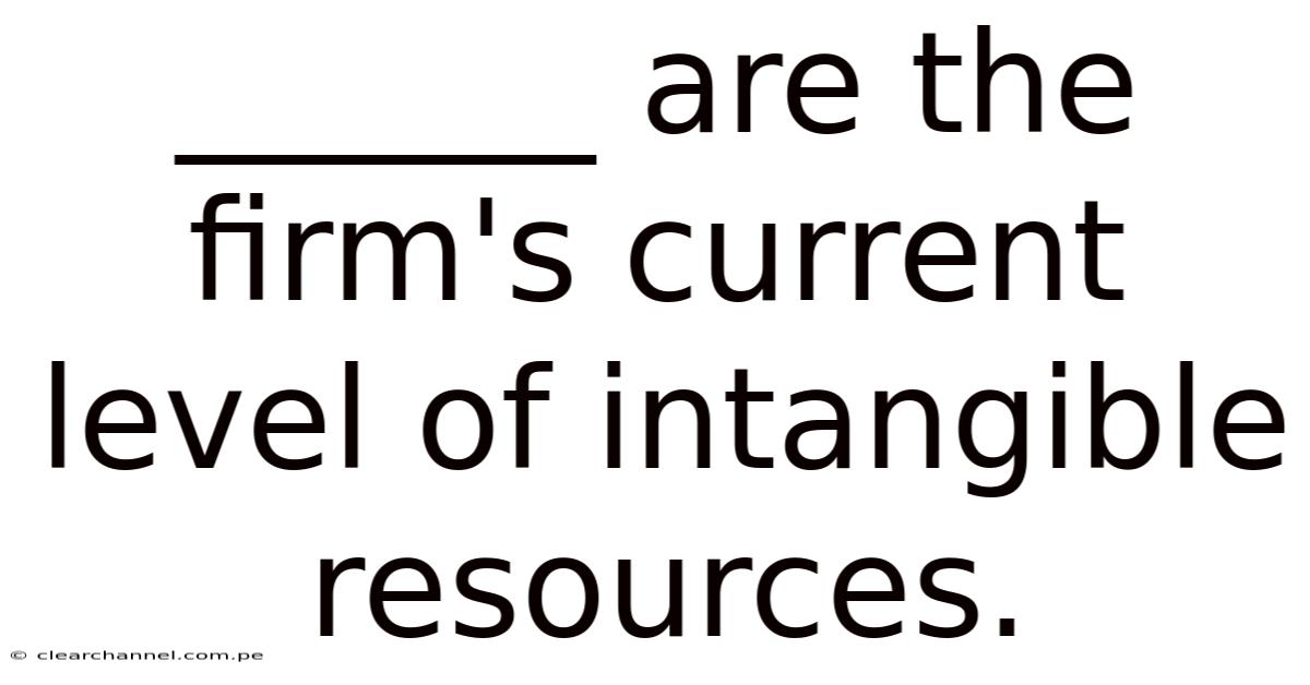 ______ Are The Firm's Current Level Of Intangible Resources.