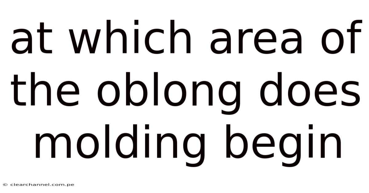 At Which Area Of The Oblong Does Molding Begin