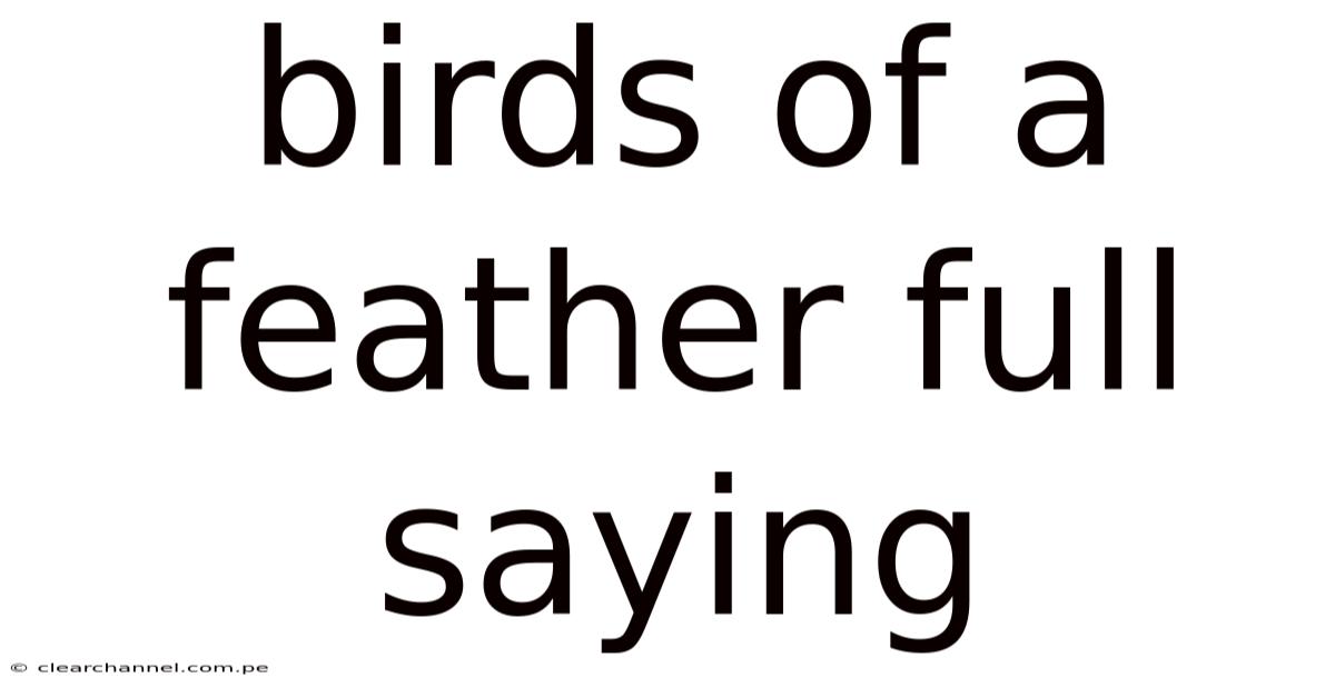 Birds Of A Feather Full Saying