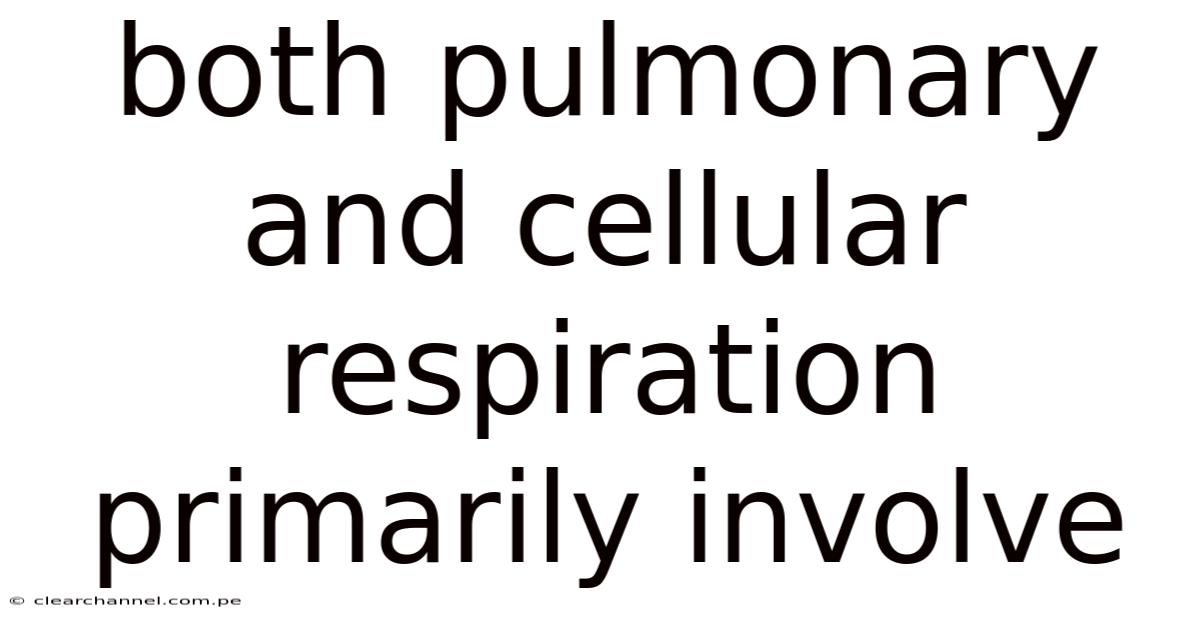 Both Pulmonary And Cellular Respiration Primarily Involve