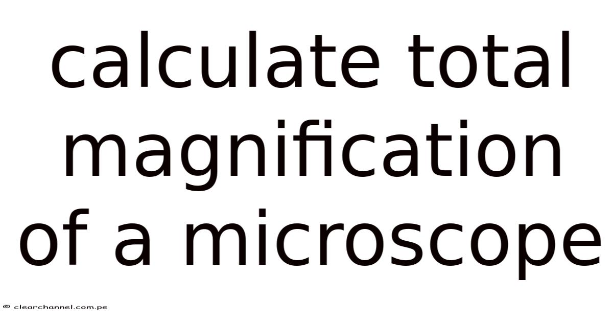Calculate Total Magnification Of A Microscope
