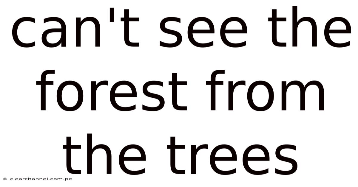 Can't See The Forest From The Trees