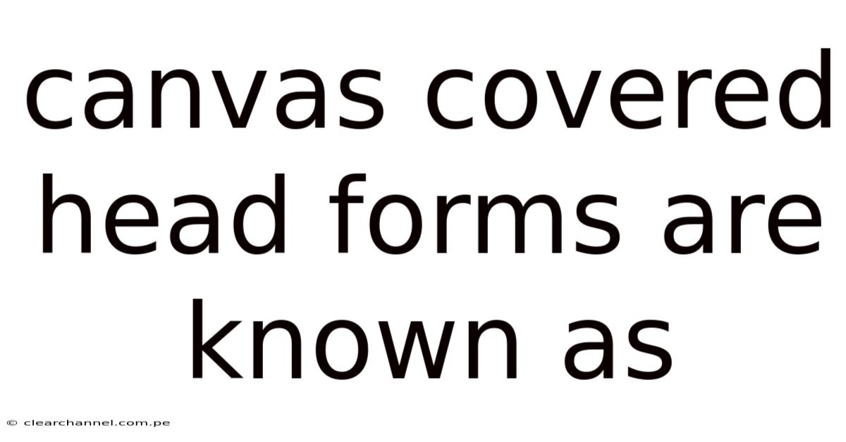 Canvas Covered Head Forms Are Known As