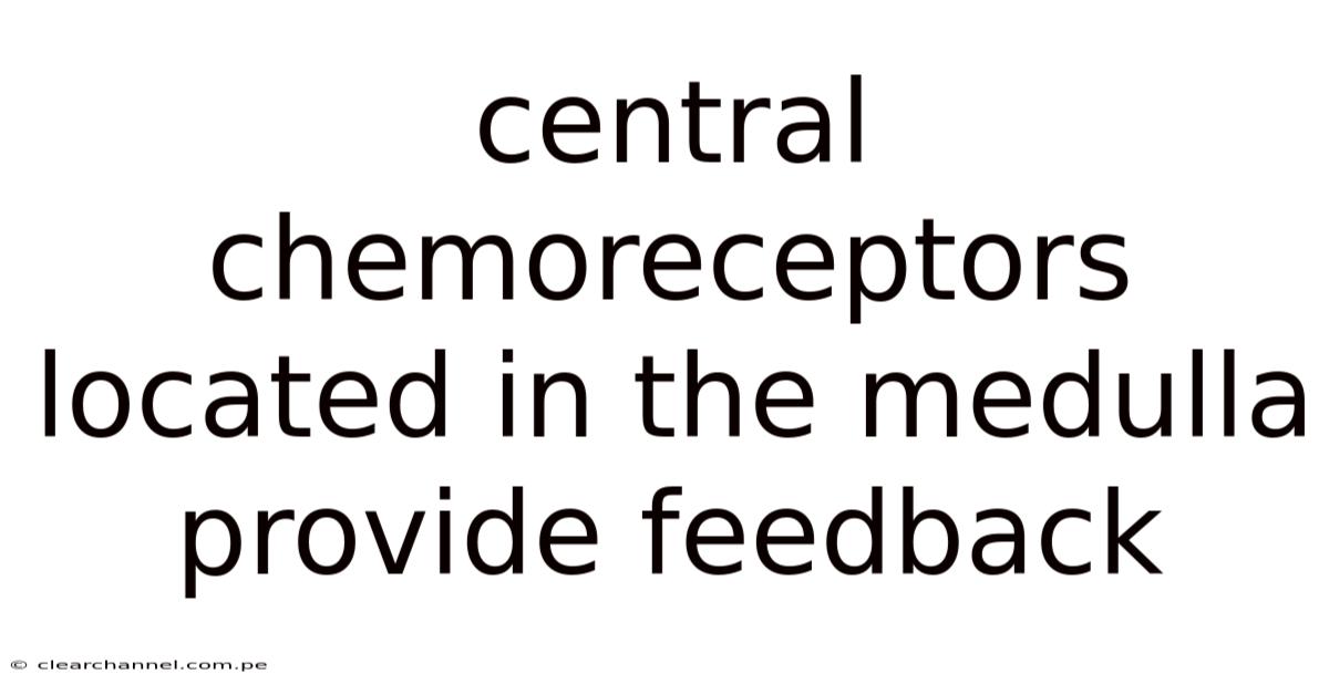 Central Chemoreceptors Located In The Medulla Provide Feedback