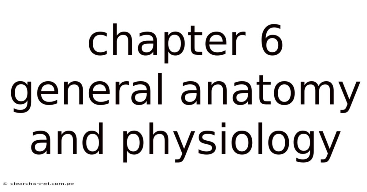 Chapter 6 General Anatomy And Physiology