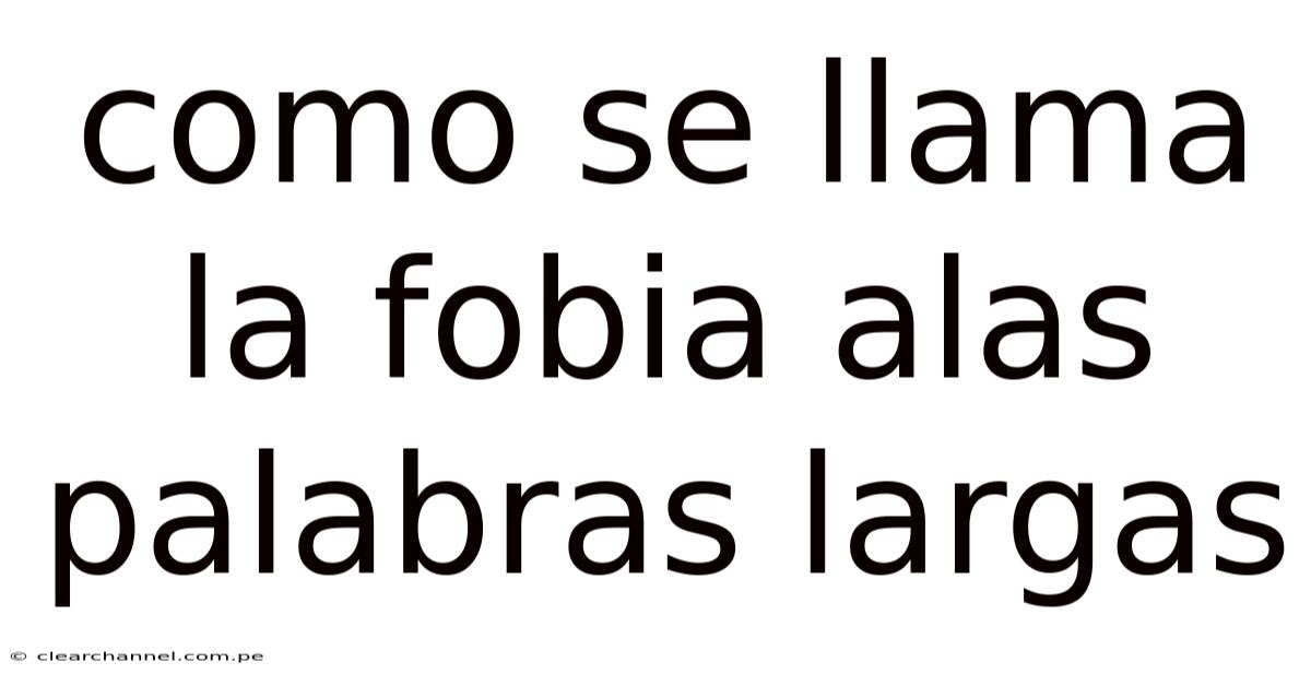 Como Se Llama La Fobia Alas Palabras Largas