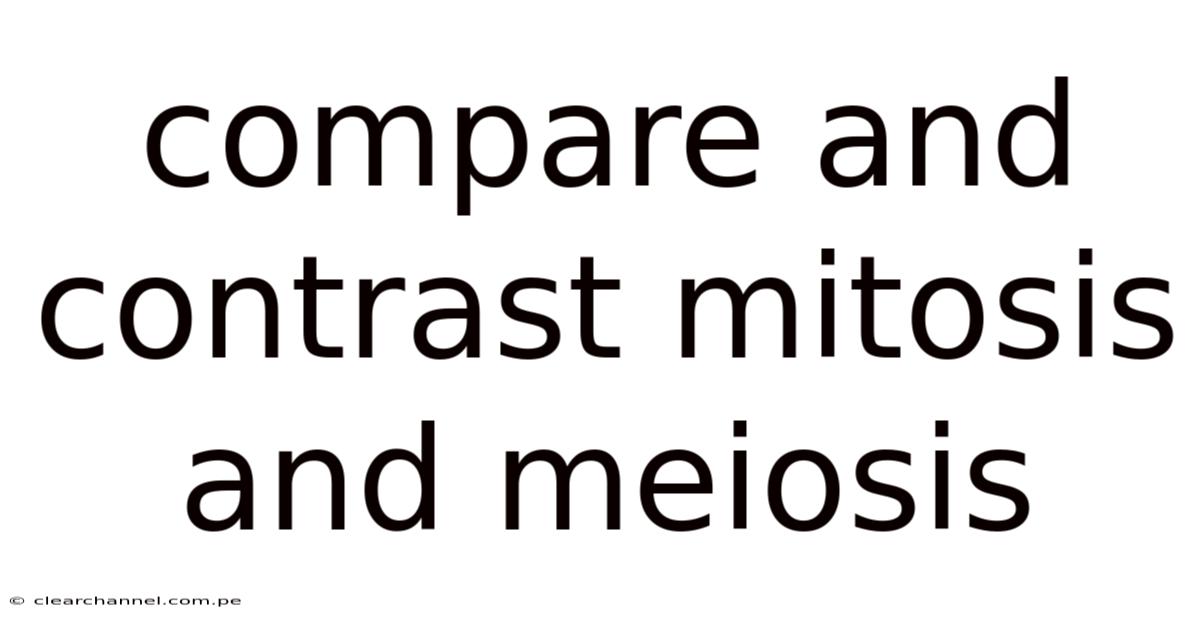 Compare And Contrast Mitosis And Meiosis