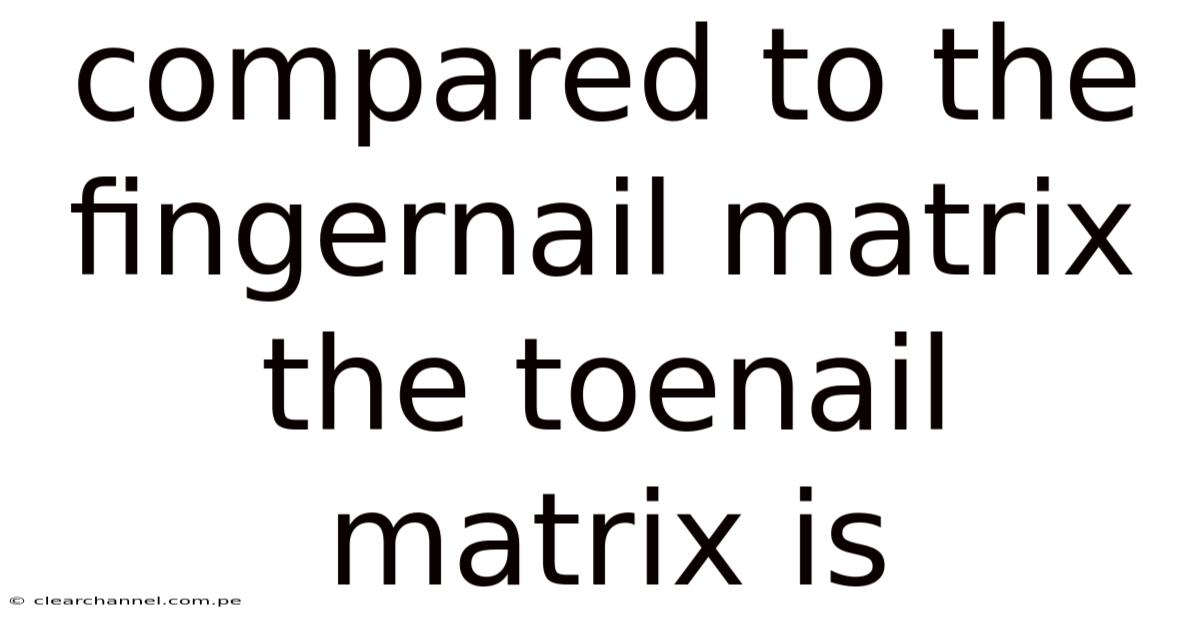 Compared To The Fingernail Matrix The Toenail Matrix Is
