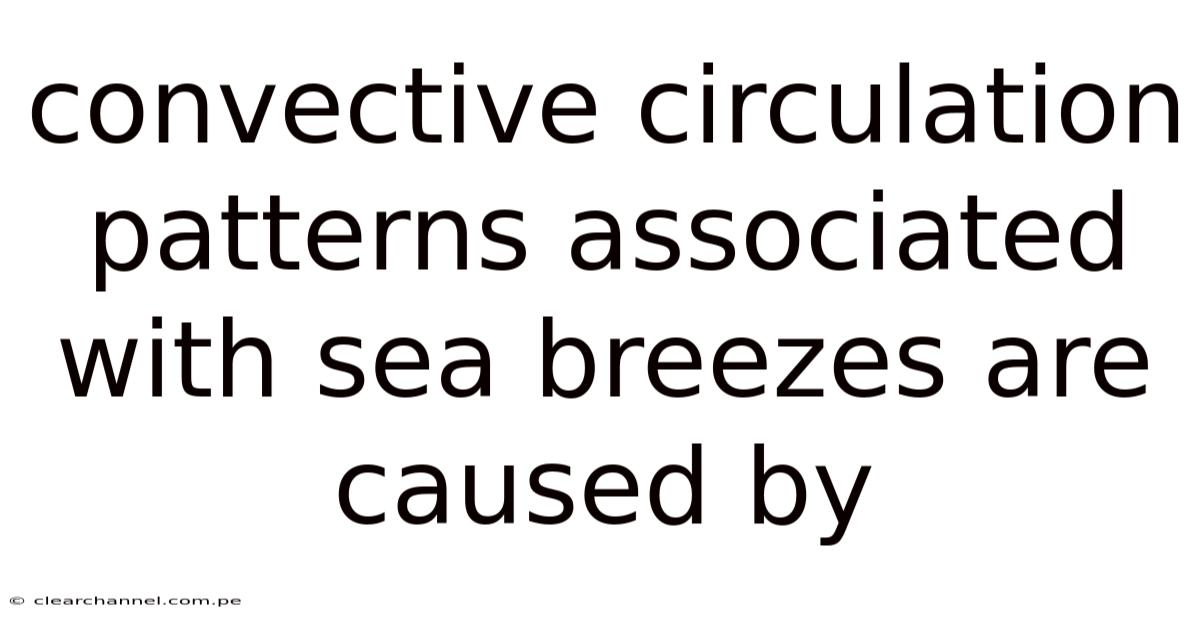 Convective Circulation Patterns Associated With Sea Breezes Are Caused By