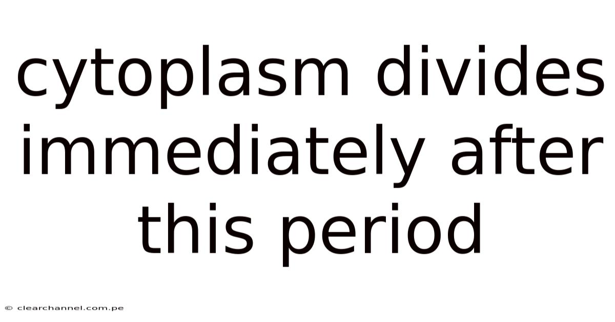 Cytoplasm Divides Immediately After This Period