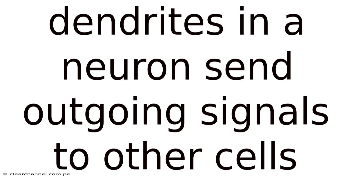 Dendrites In A Neuron Send Outgoing Signals To Other Cells