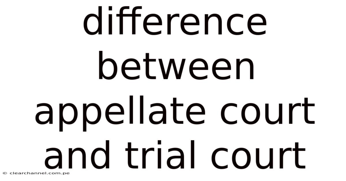 Difference Between Appellate Court And Trial Court