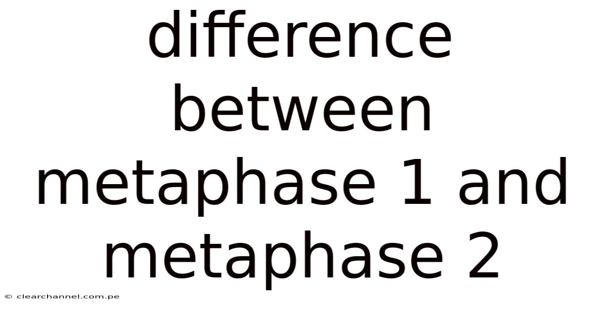 Difference Between Metaphase 1 And Metaphase 2