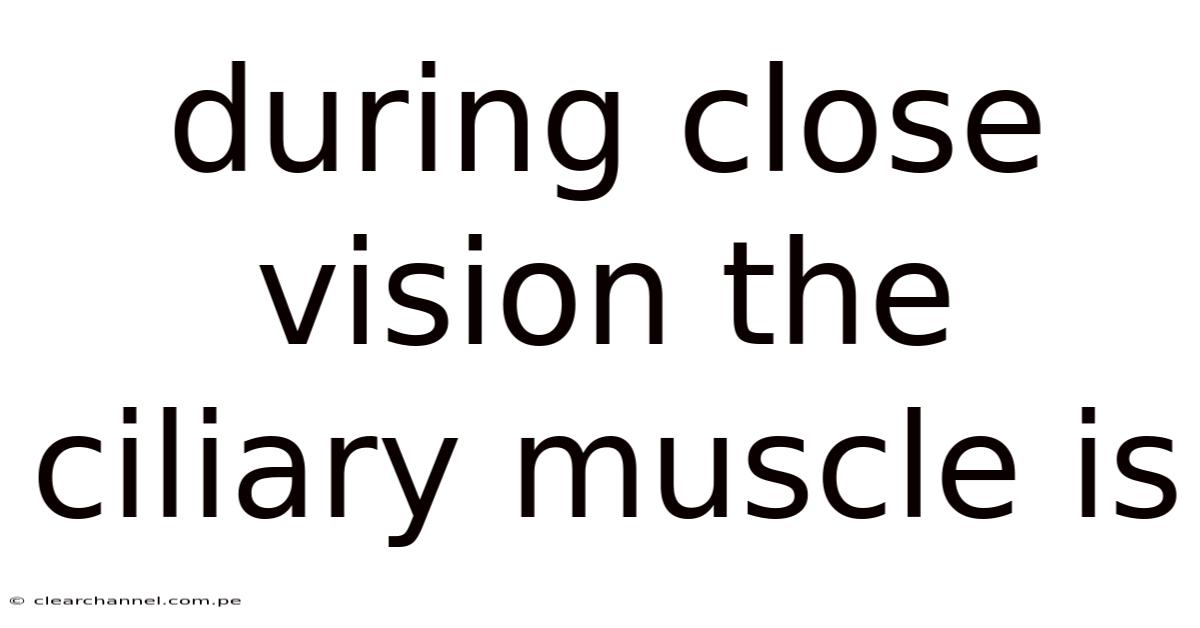 During Close Vision The Ciliary Muscle Is