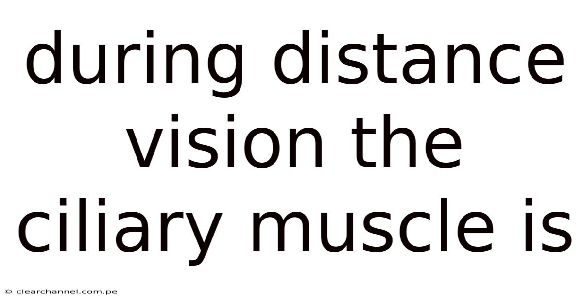 During Distance Vision The Ciliary Muscle Is