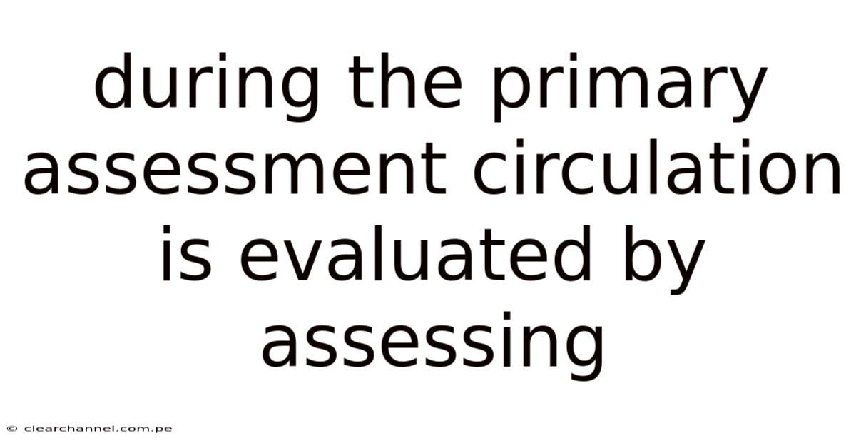 During The Primary Assessment Circulation Is Evaluated By Assessing