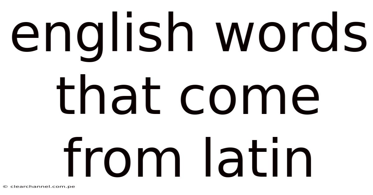 English Words That Come From Latin