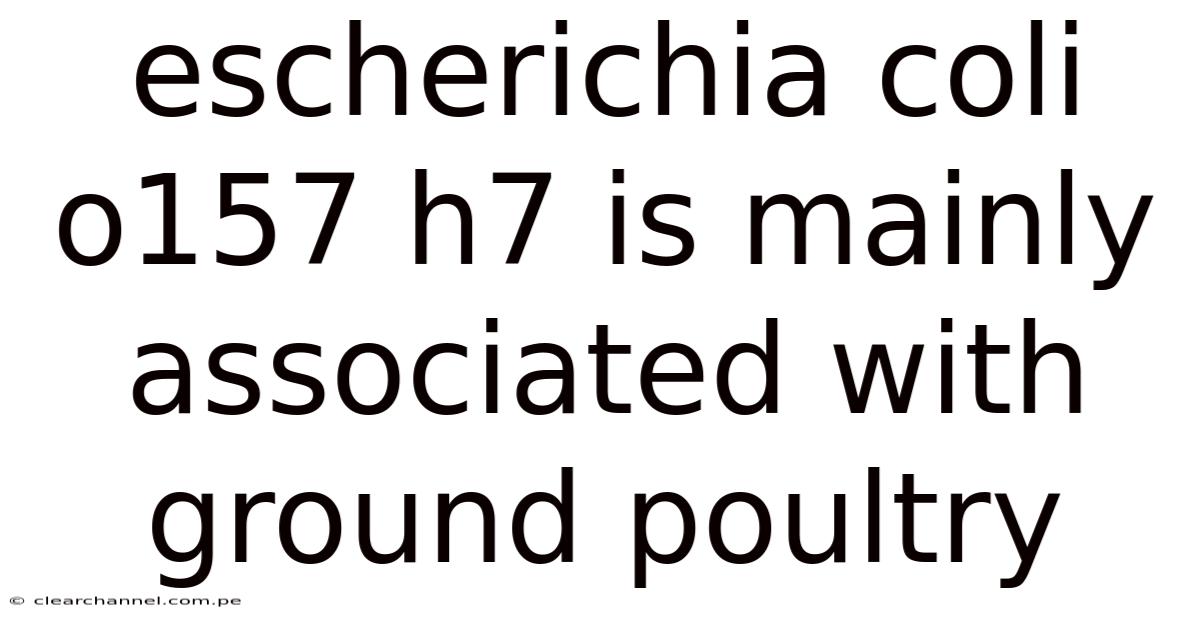 Escherichia Coli O157 H7 Is Mainly Associated With Ground Poultry