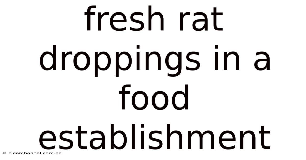 Fresh Rat Droppings In A Food Establishment