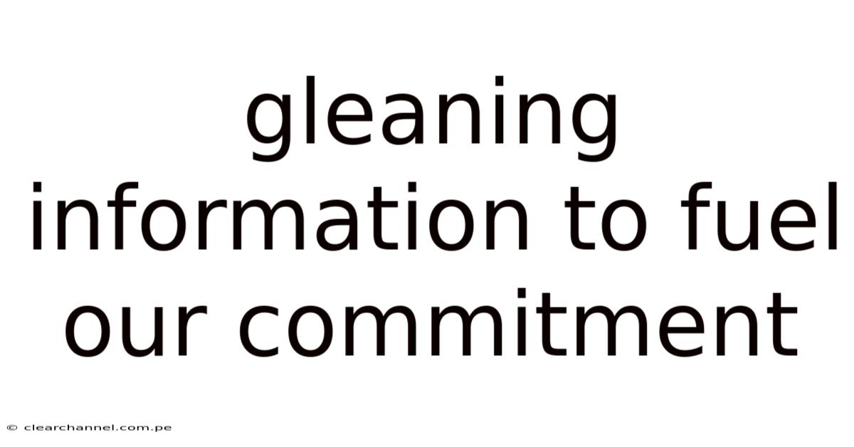 Gleaning Information To Fuel Our Commitment