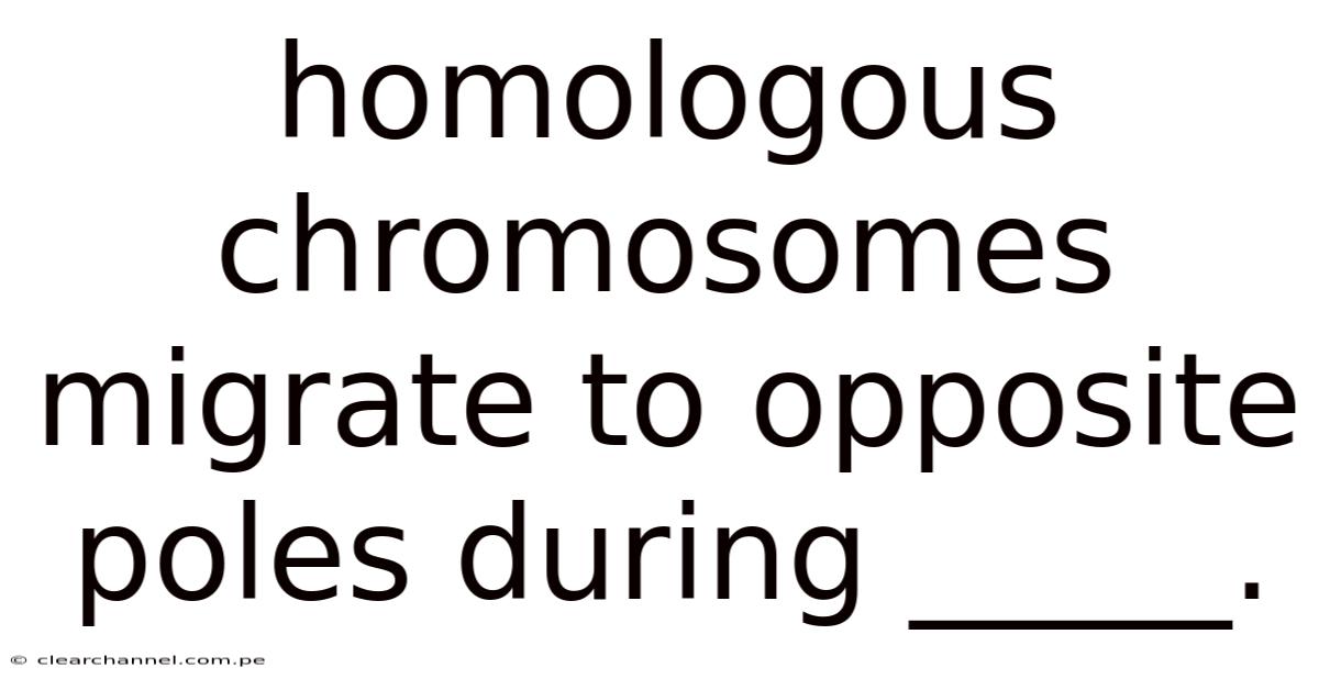 Homologous Chromosomes Migrate To Opposite Poles During _____.