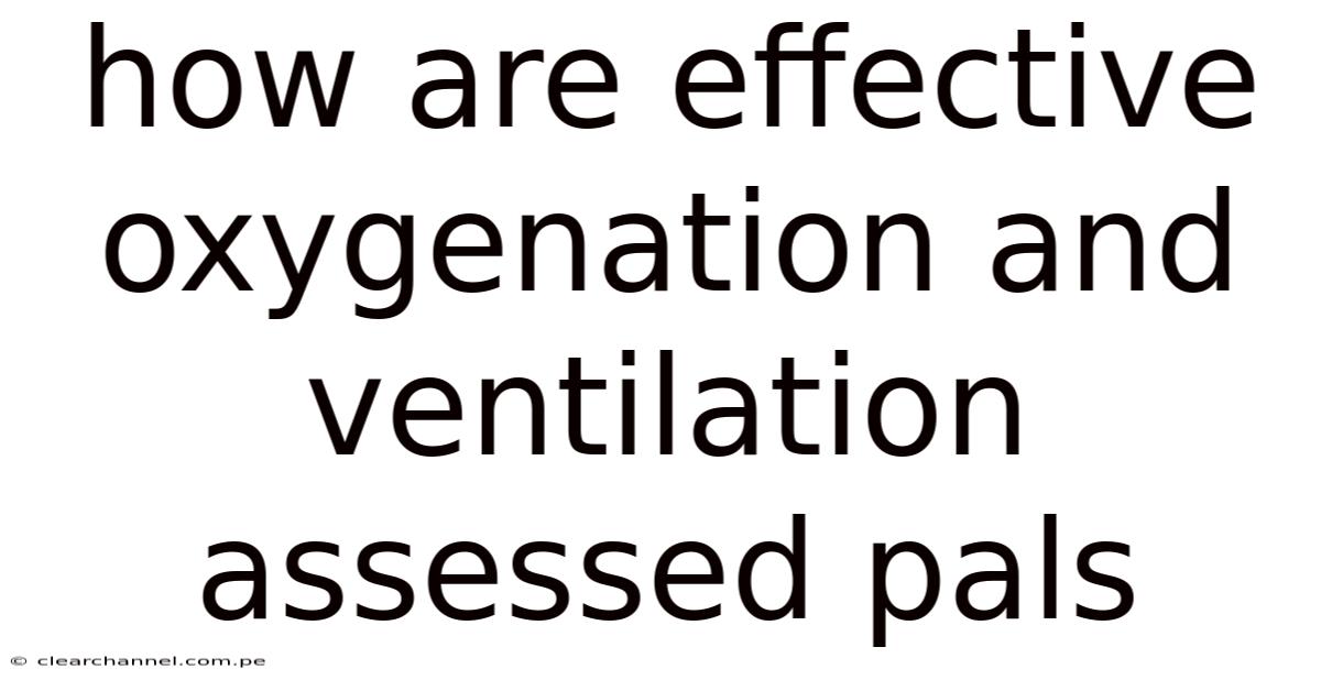 How Are Effective Oxygenation And Ventilation Assessed Pals