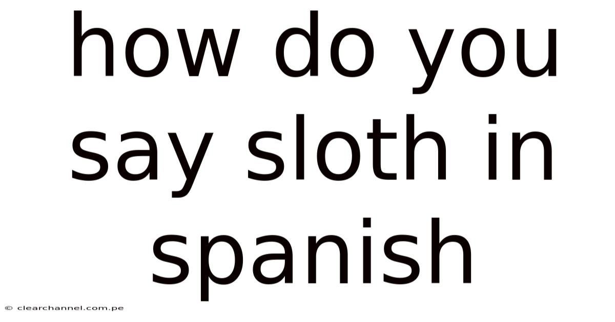 How Do You Say Sloth In Spanish